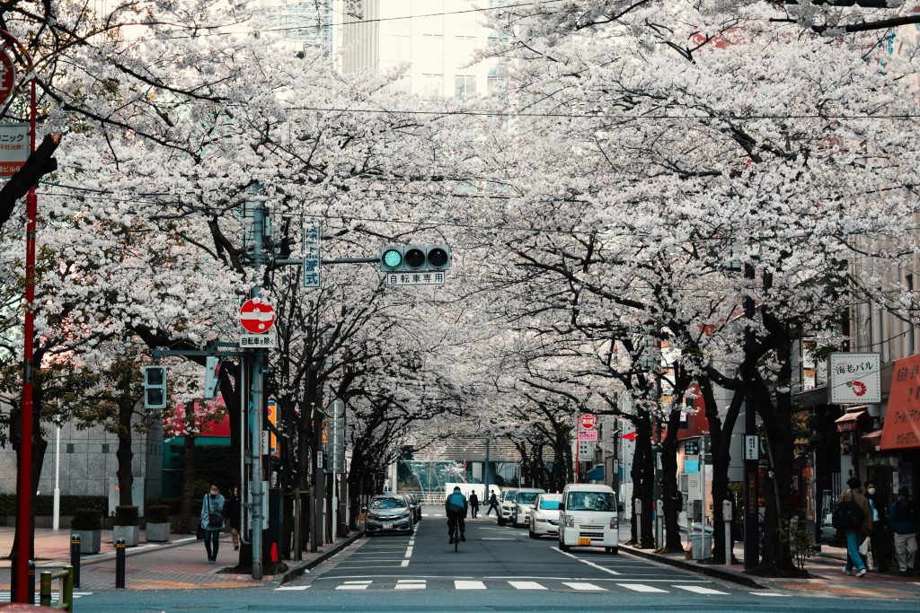 Galería de Japón