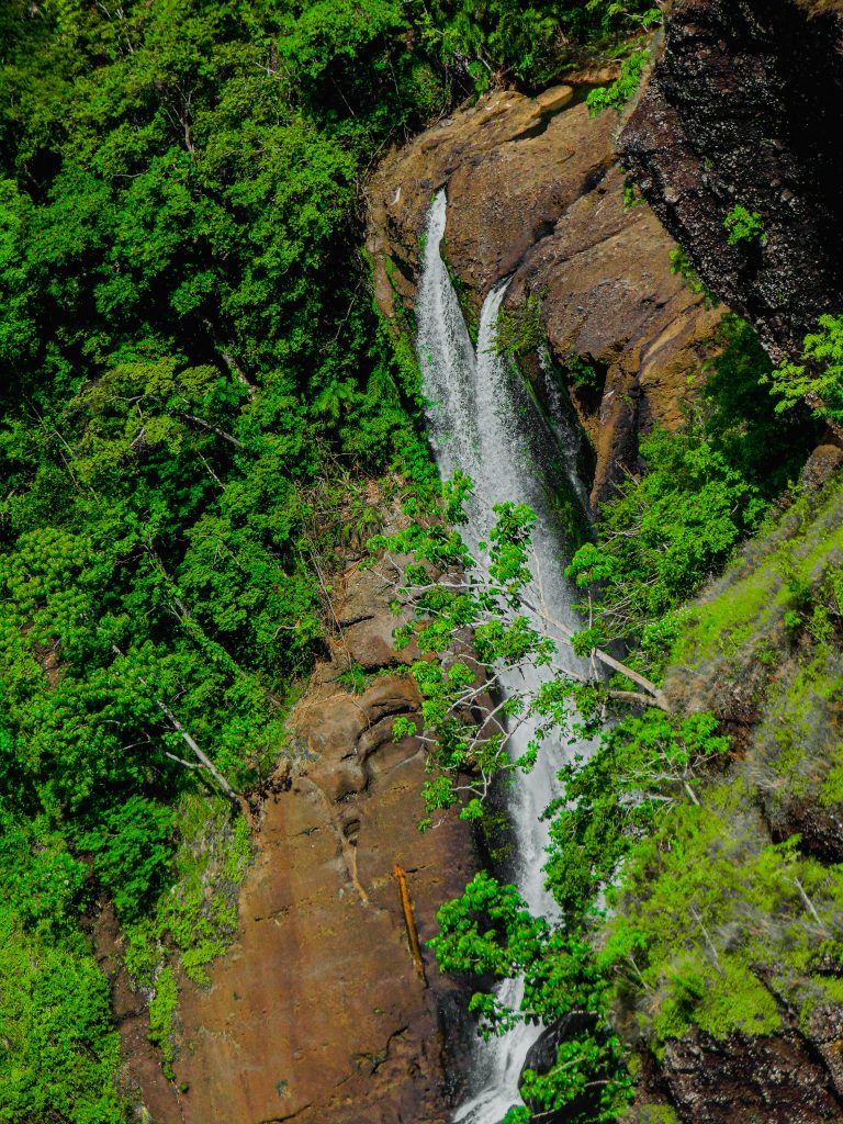 Galería de Papúa Nueva Guinea