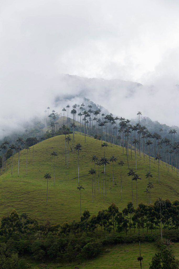 Galería de Colombia