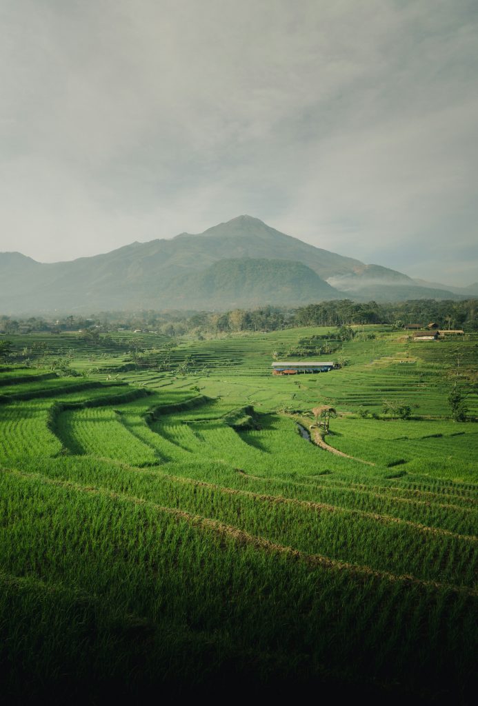 Galería de Indonesia