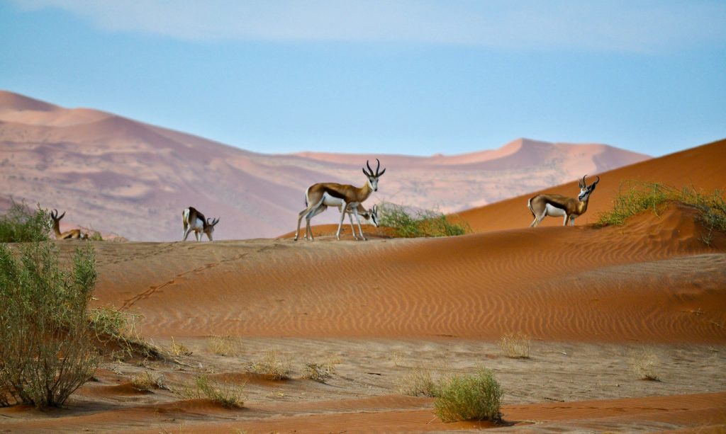 Galería de Namibia