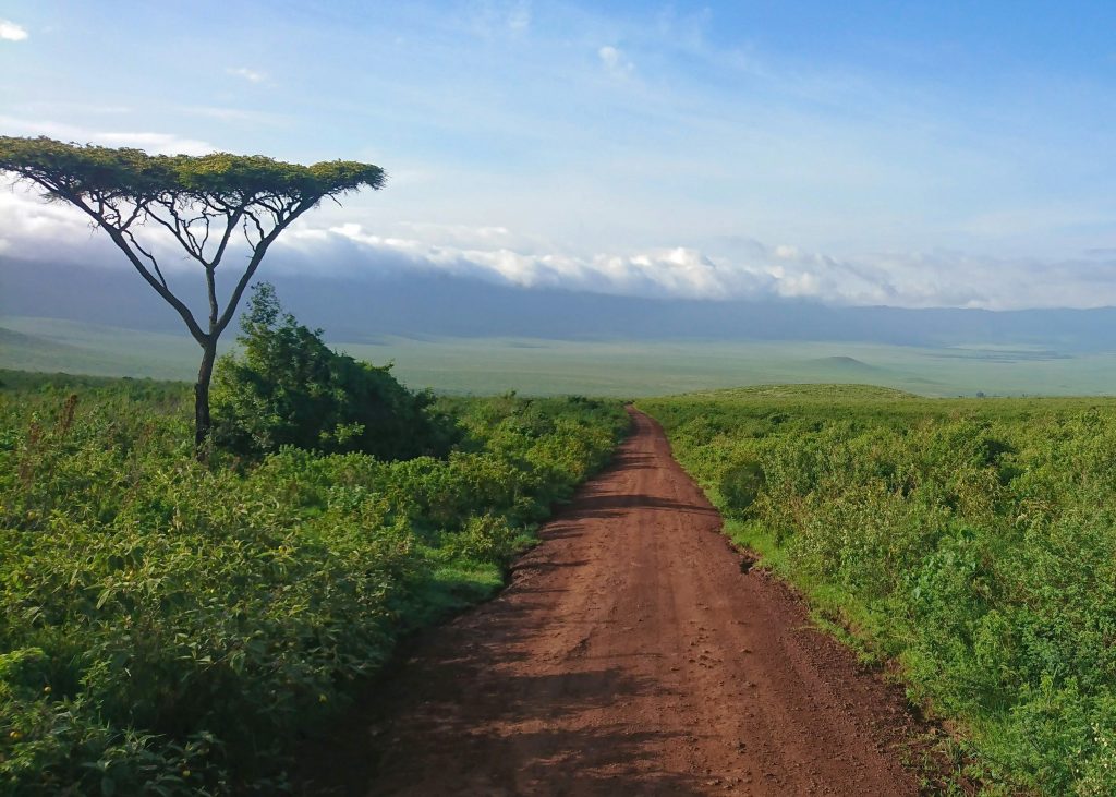Galería de Tanzania