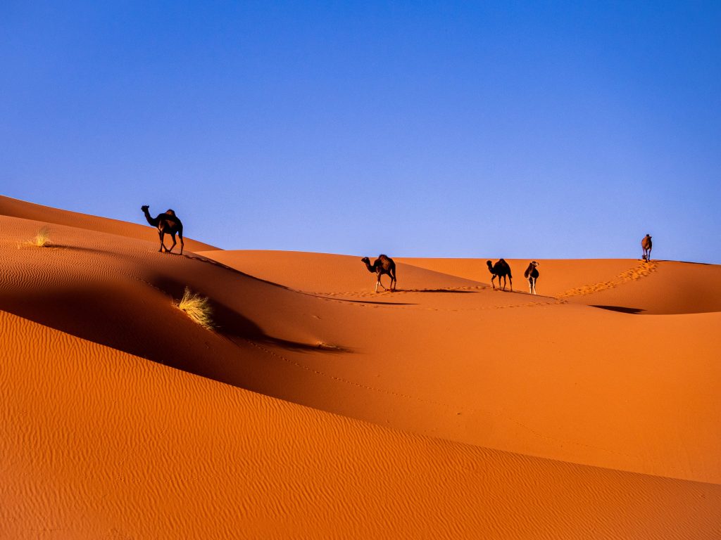 Galería de Marruecos