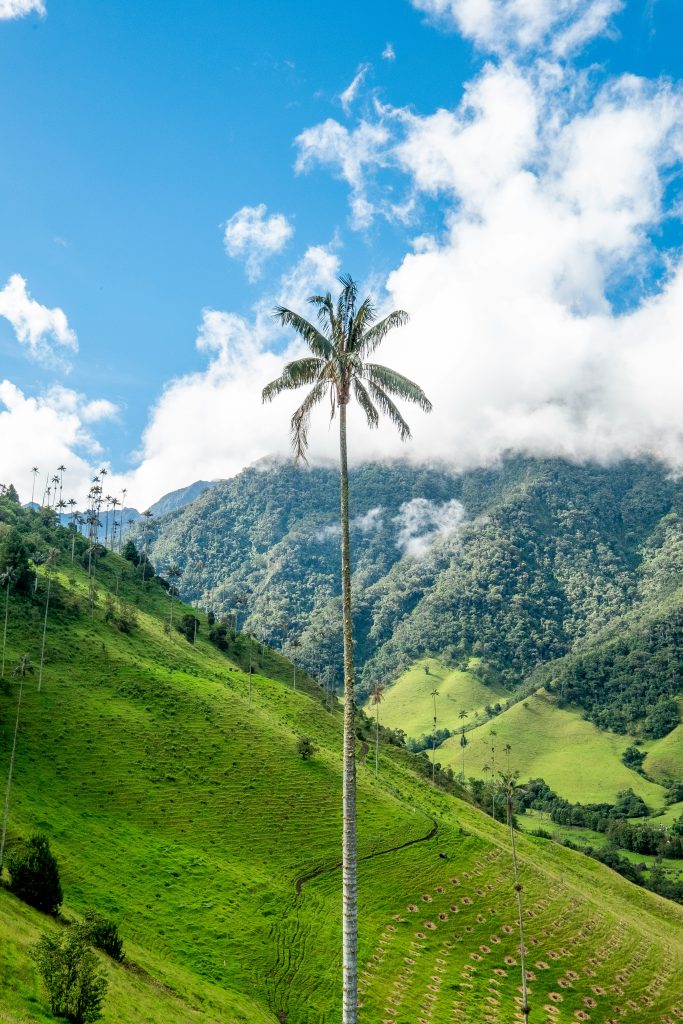 Galería de Colombia