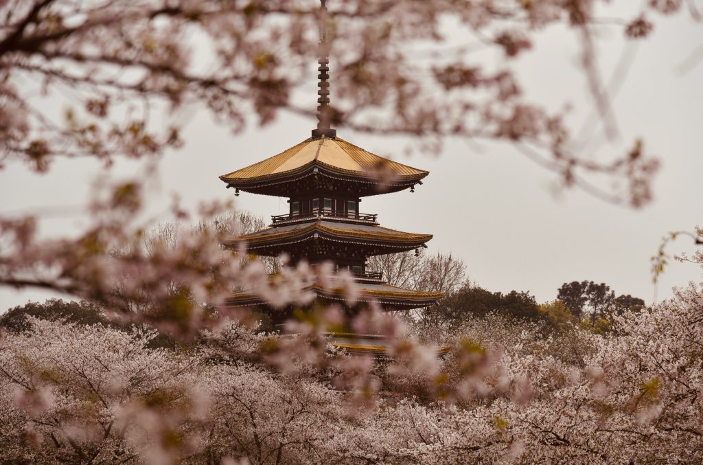 Galería de China