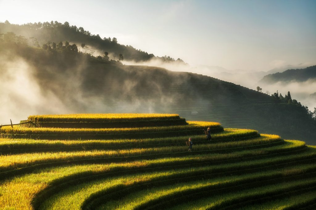 Galería de Vietnam