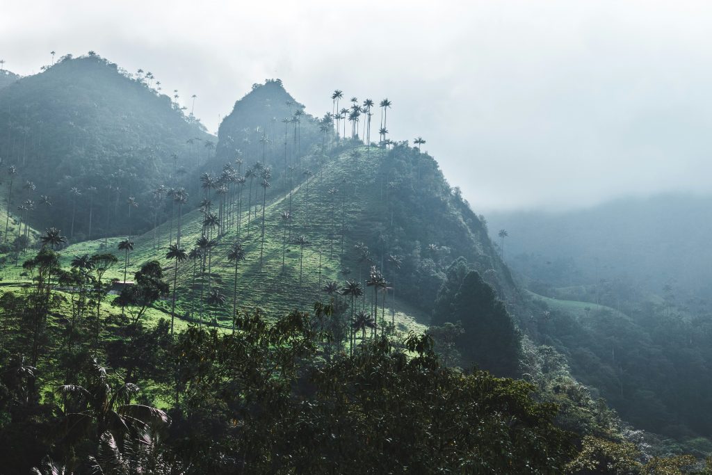 Galería de Colombia