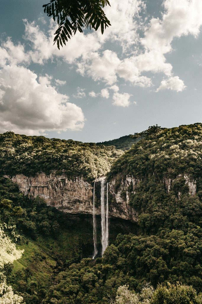 Galería de Brasil