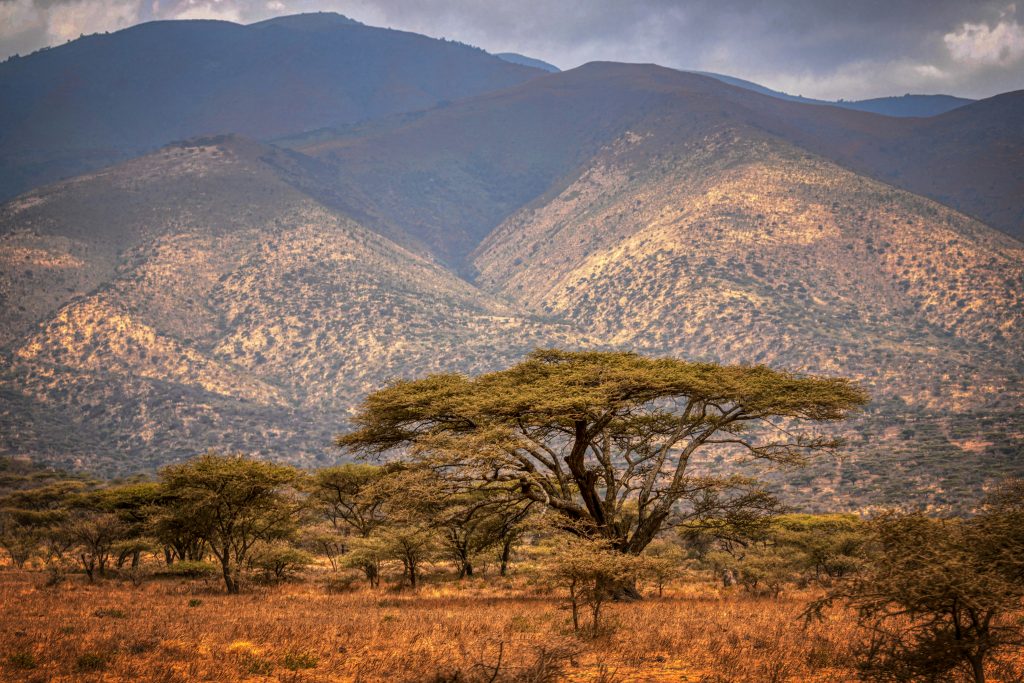 Galería de Tanzania