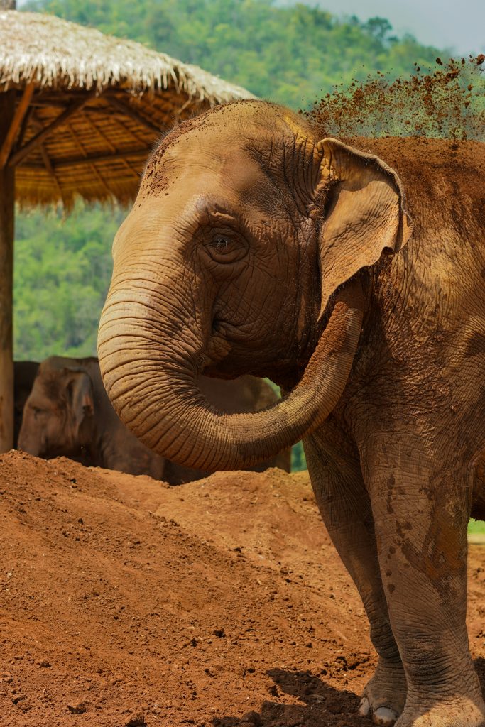 Galería de Tailandia