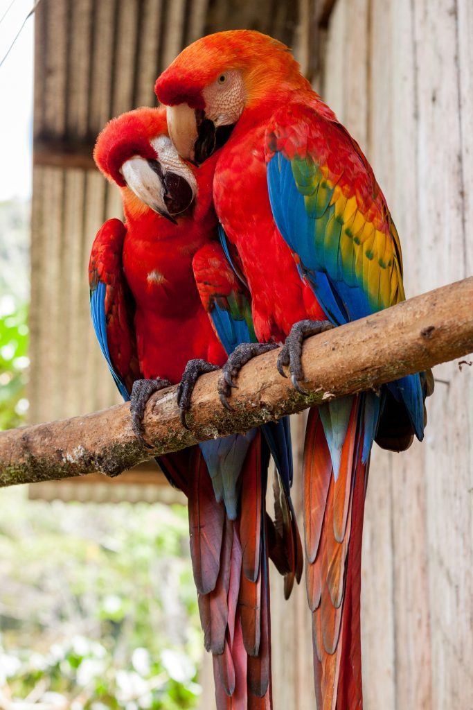 Galería de Ecuador