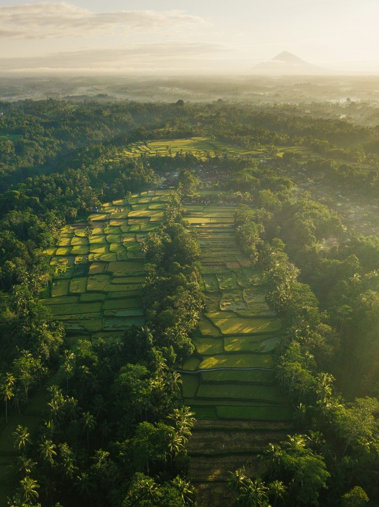 Galería de Indonesia