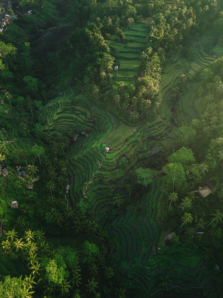 Galería de Indonesia