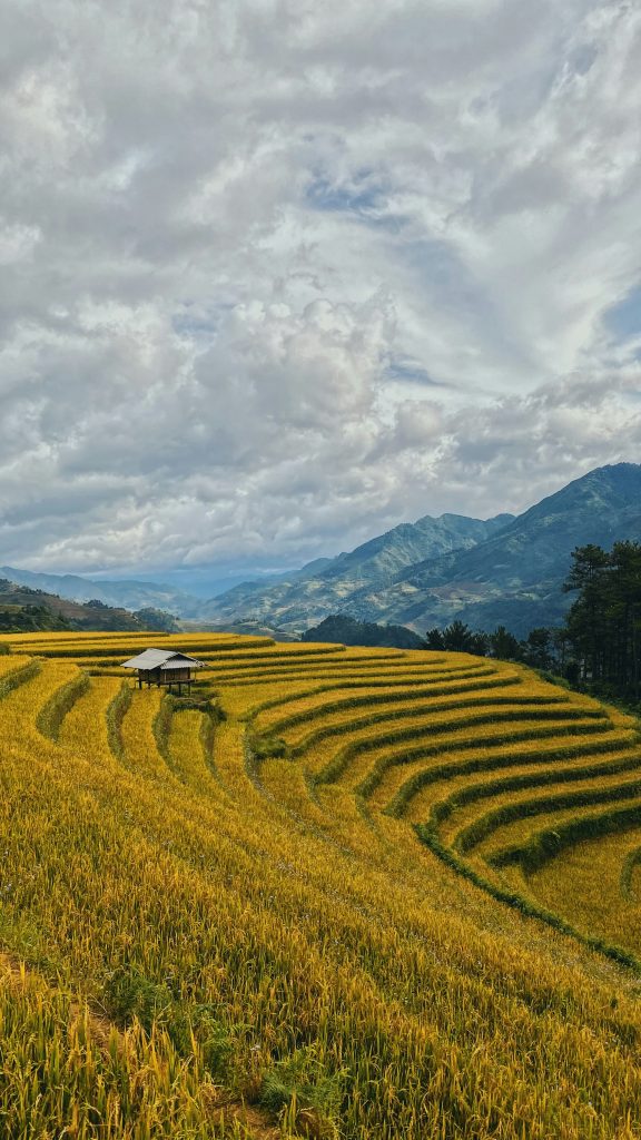 Galería de Vietnam