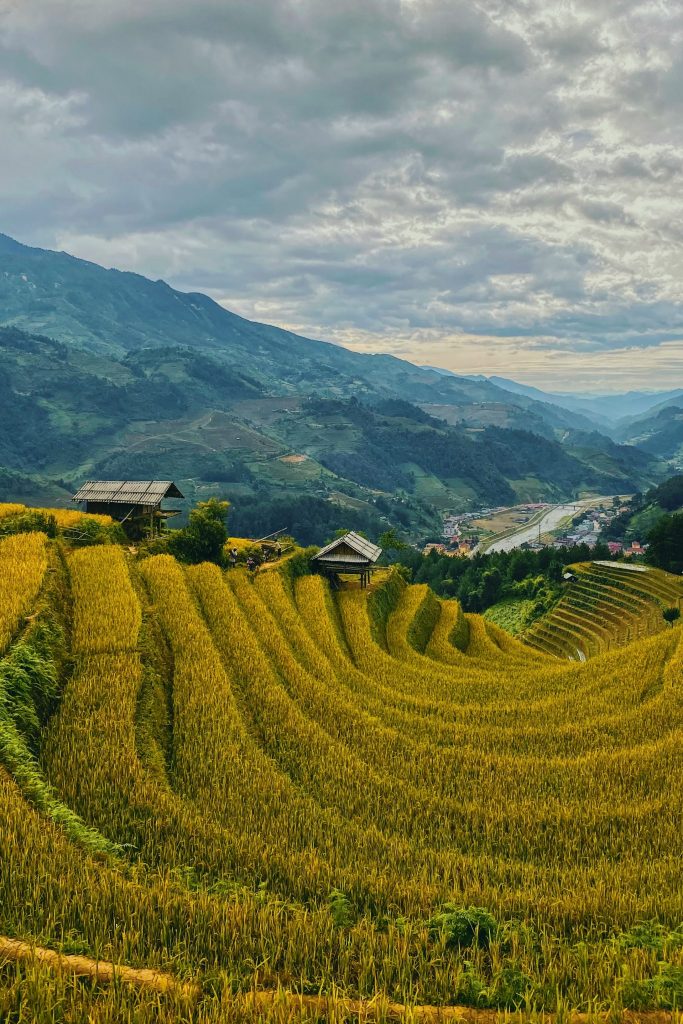 Galería de Vietnam