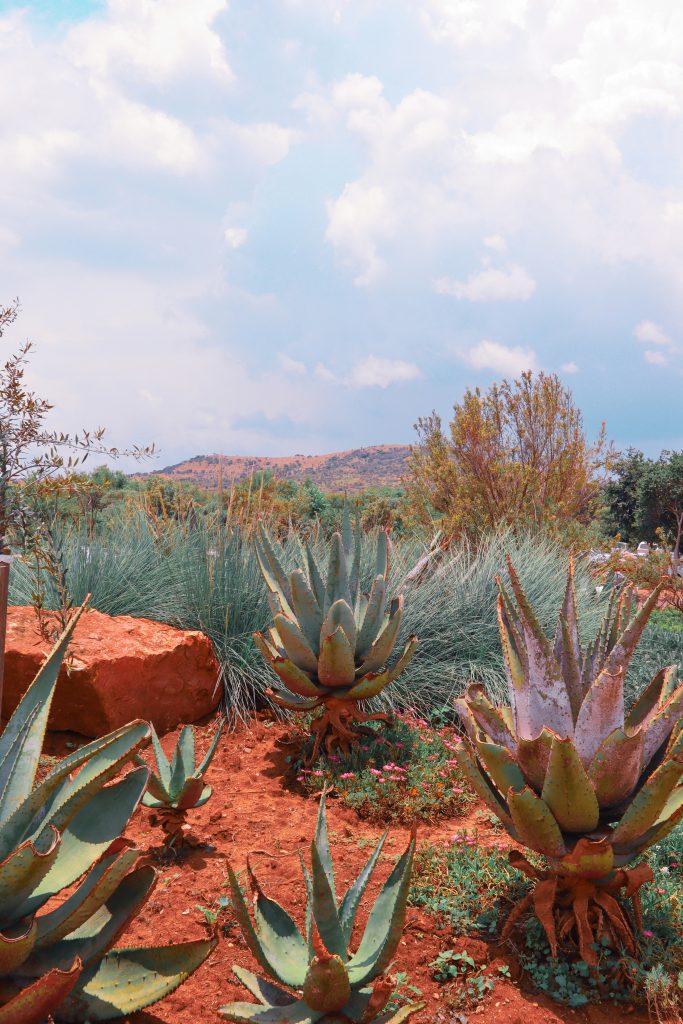 Galería de Sudáfrica