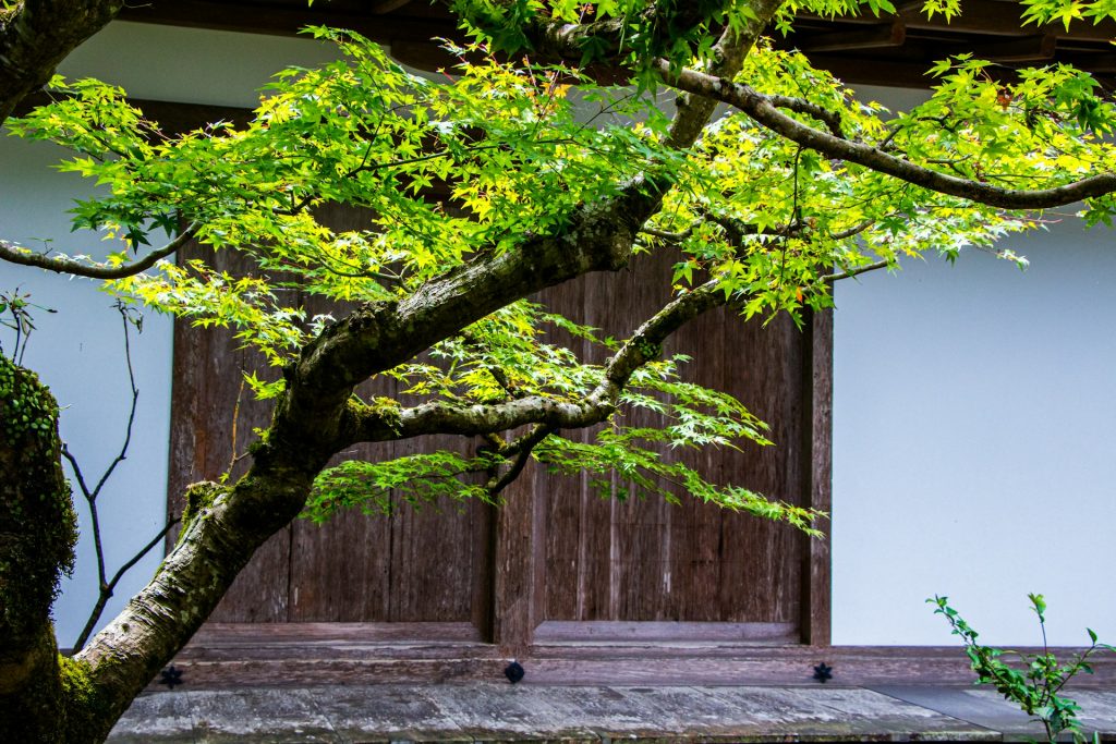 Galería de Dormir en un Templo Budista (Shukubo) en Japón