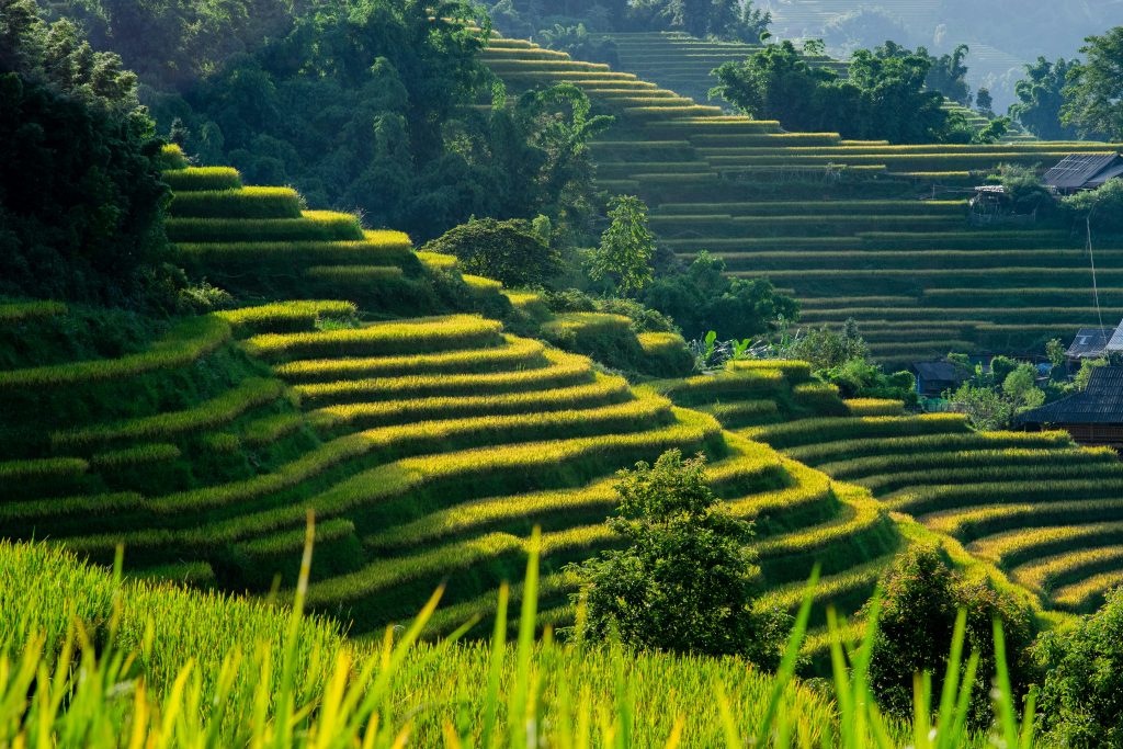 Galería de Vietnam