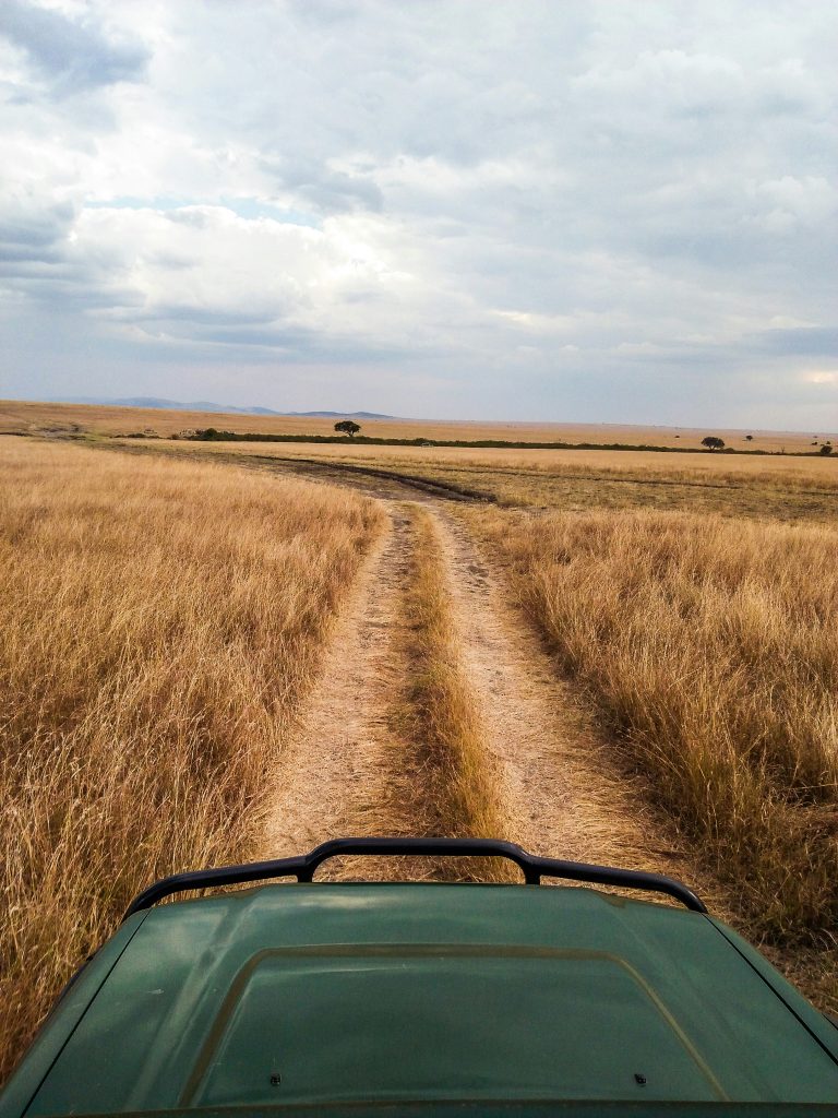 Galería de Kenia