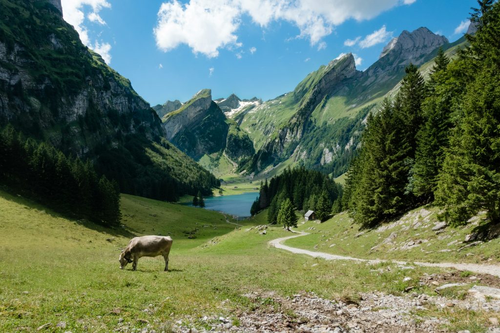 Galería de Suiza