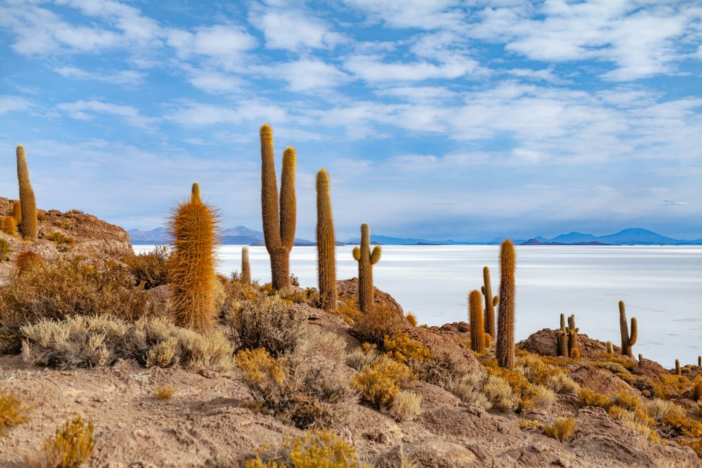 Galería de Bolivia