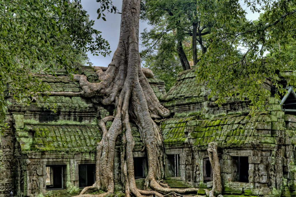 Galería de Camboya
