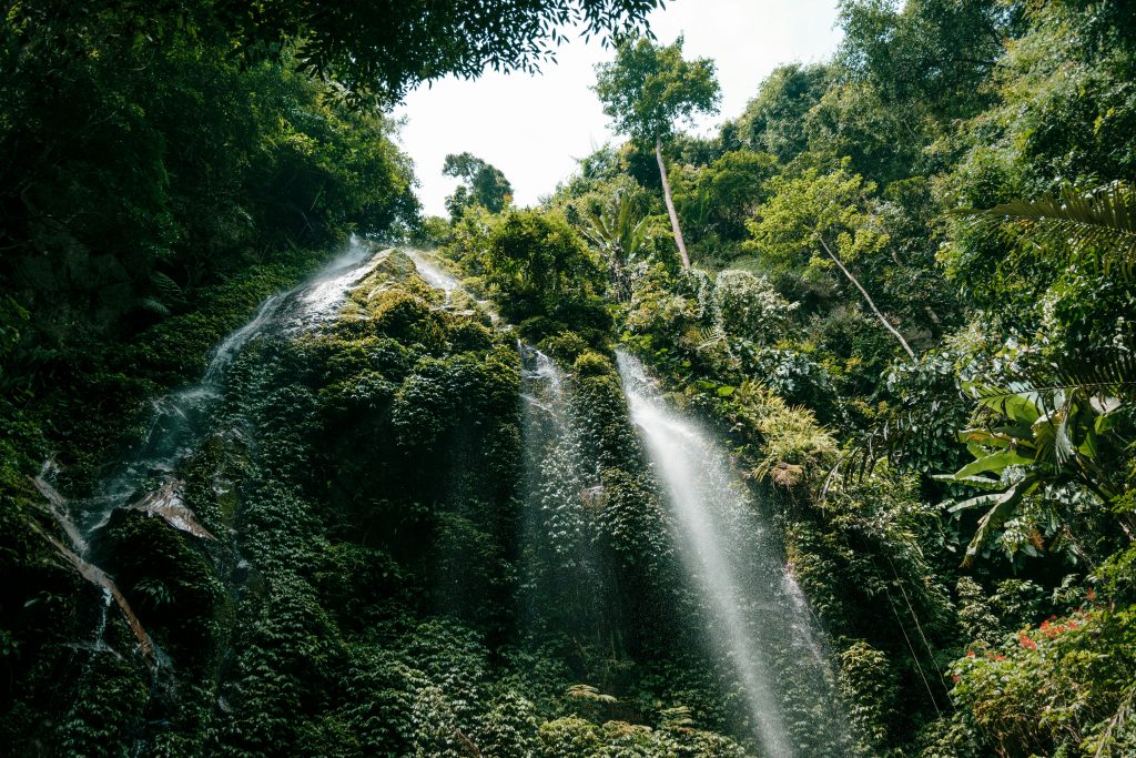 Galería de Malasia