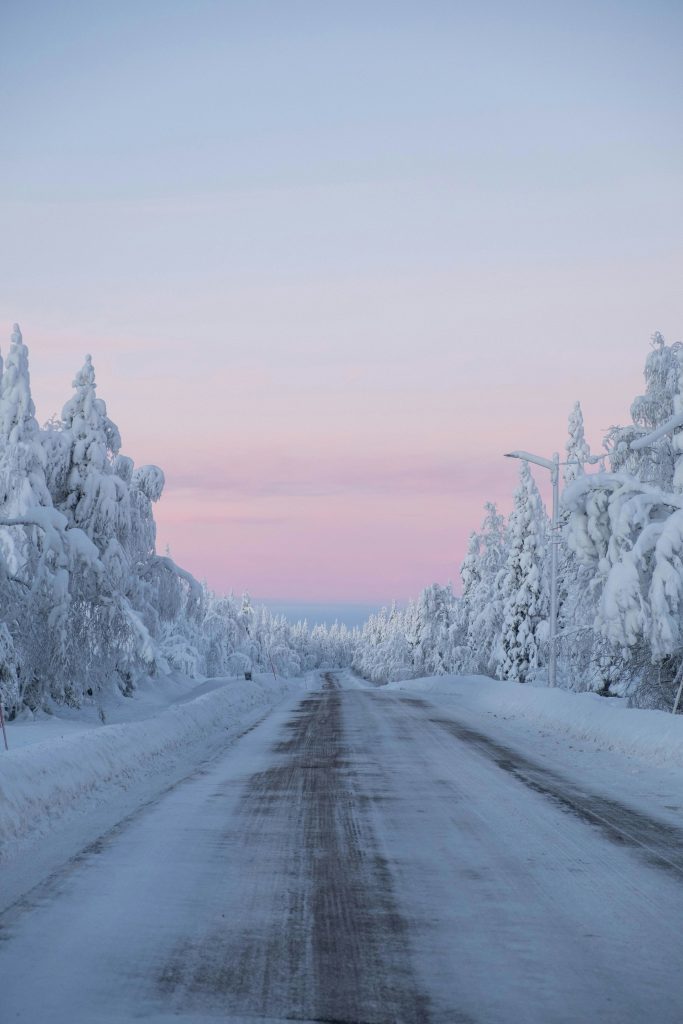 Galería de Suecia